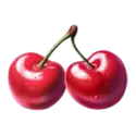 icon 5