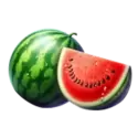 icon 4