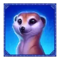 icon 3