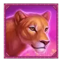icon 2