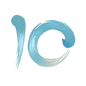 icon 9