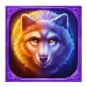 icon 4