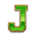icon 8