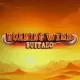 Roaming Wild Buffalo