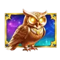 icon 1