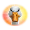 icon 4