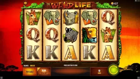 The Wild Life slot screenshot 2