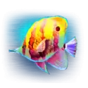 icon 4