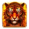 icon 11
