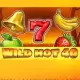 Wild Hot 40 Halloween