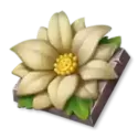 icon 5