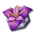 icon 6