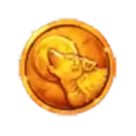 icon 13