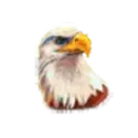 icon 2