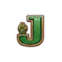 icon 8