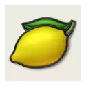 icon 9