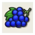 icon 5
