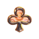icon 5