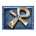 icon 5