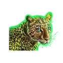 icon 3