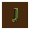 icon 12