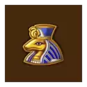 icon 7