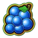 icon 5