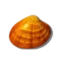 icon 7