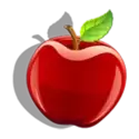 icon 3