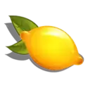 icon 5