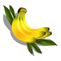 icon 7