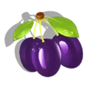 icon 4