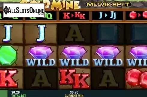 Wild Symbol
