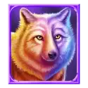 icon 4