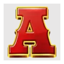 icon 5