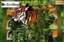 Jungle (esball)