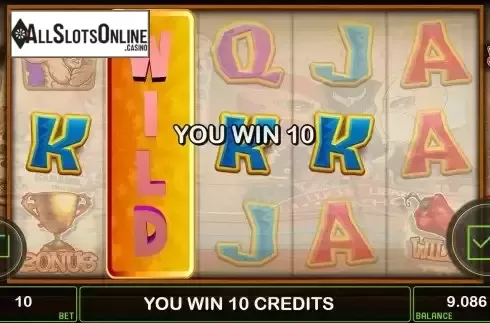 Wild Reel Screen