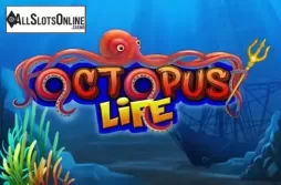 Octopus Life