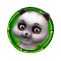 icon 5