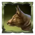 icon 6