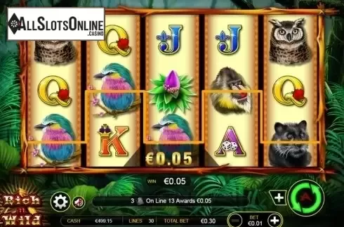Win screen. Rich n Wild from Ainsworth