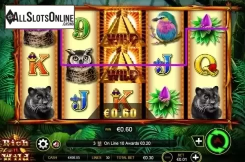 Wild Win screen. Rich n Wild from Ainsworth