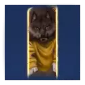 icon 13