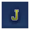 icon 7