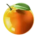 icon 4