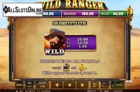 Wild Symbol Screen