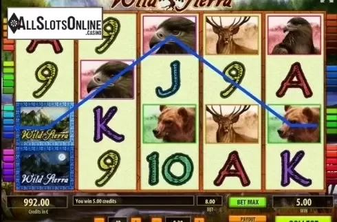 Wild Win screen. Wild Sierra from Tom Horn Gaming