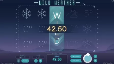 Wild Weather slot screenshot 3
