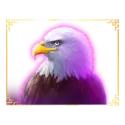 icon 4