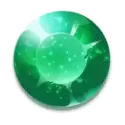 icon 11